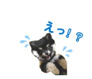 878925140