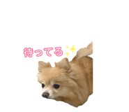 878925145