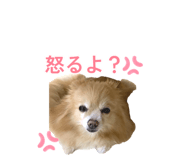 878925146