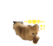 878925147