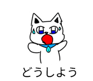 878925655