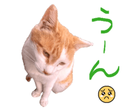 878927059
