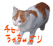 878927065