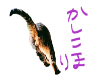 878927066