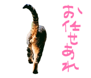878927068