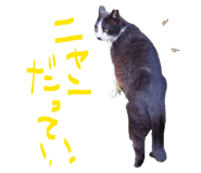 878927078