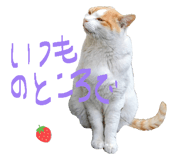 878927080