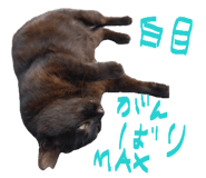 878927087