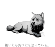 878928540