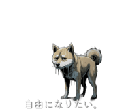 878928545