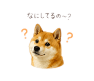 878928750