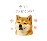 878928752