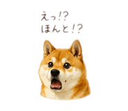 878928753