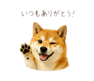 878928755