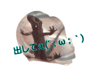 878930268