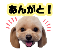 878930281