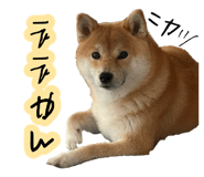 878930288