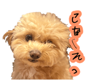 878930299