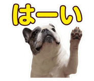 878931189