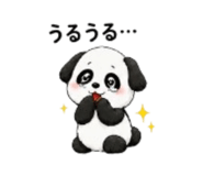 878931243