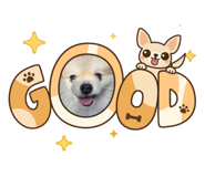 878943707
