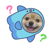 878944129