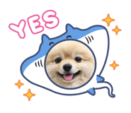 878944131