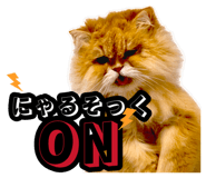 878950859
