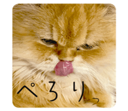 878950876