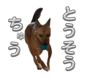 878953181
