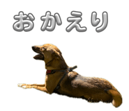 878953186