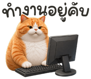 878954711