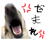 878955019