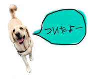 878955030
