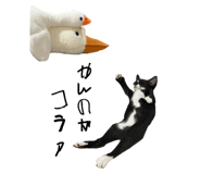 878961559