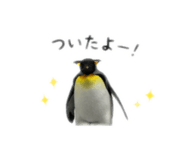 878961790