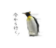 878961791
