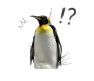 878961794