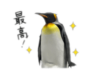 878961800