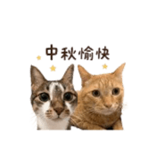 878969480