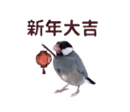 878970210