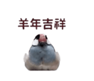 878970211