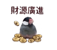 878970212