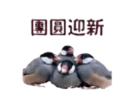 878970218