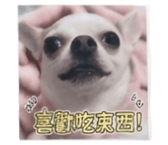878981649