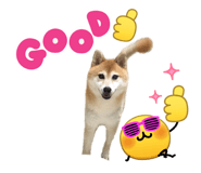 878983336