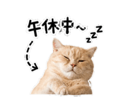 878985291
