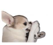 878988356