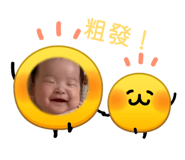 878991650