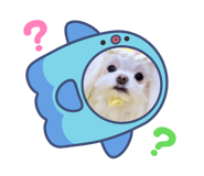 878998136